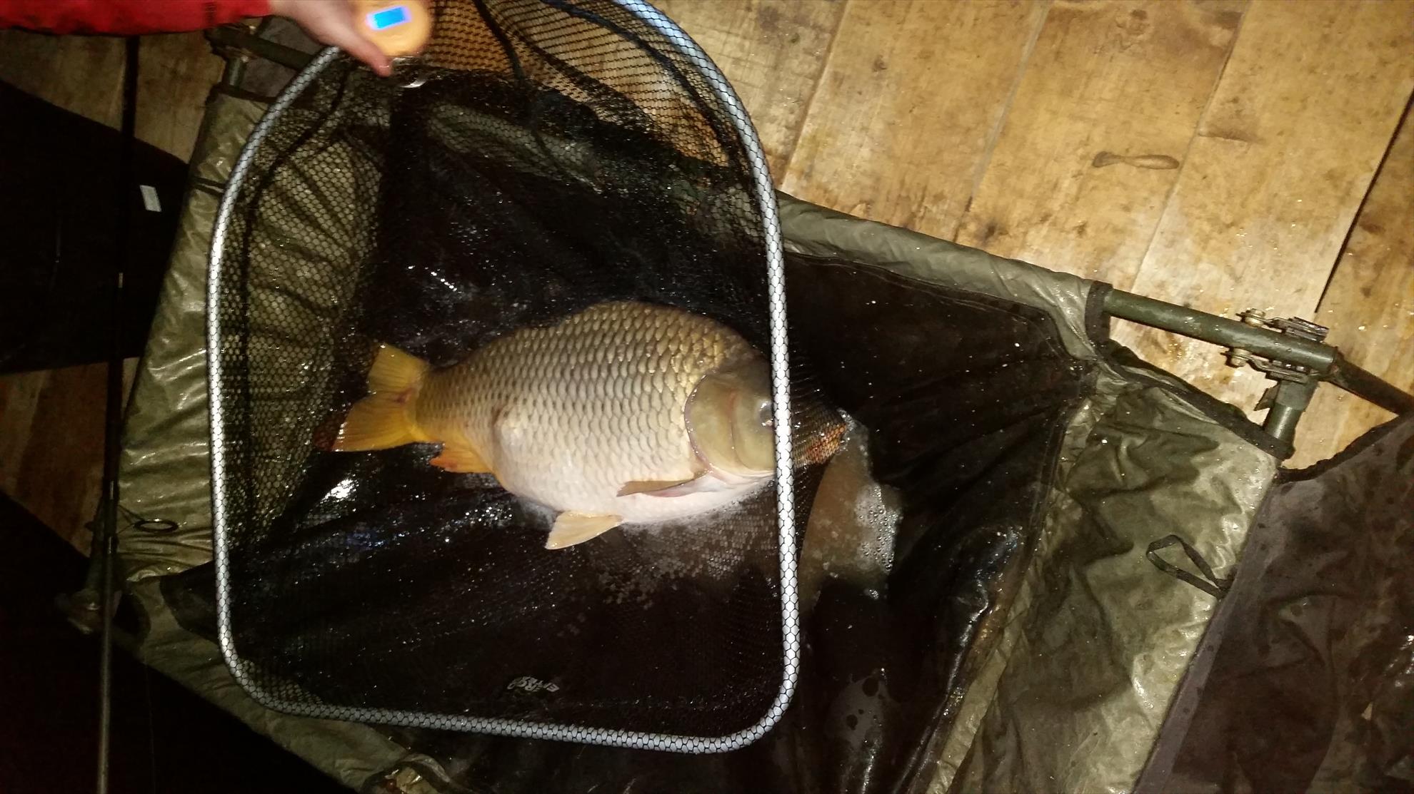 Moara Vlasiei 2 16 - 18 martie 2016 - 20160318044042.jpg